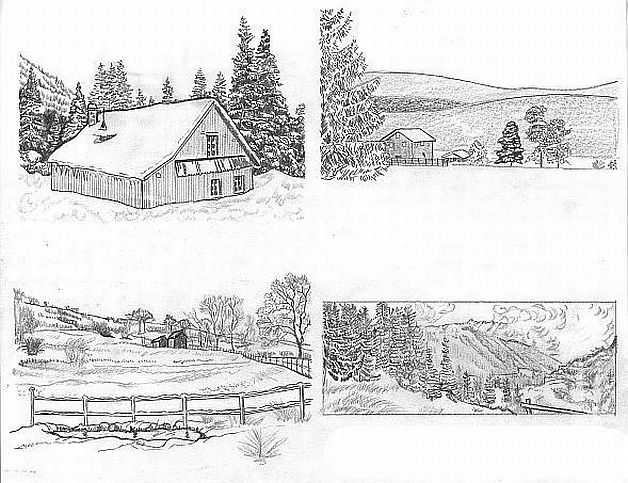Studies in Snow